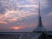 Morning at the MAM Photograph by Thomas Pipia