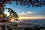 Morning Photograph by Brad Bellisle