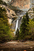 Morning Delight Photograph by Az Jackson