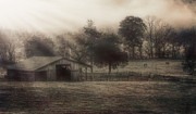 Morning In Boxley Valley Photograph by Jonas Wingfield