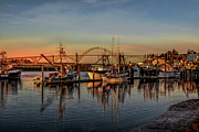 Morning Light Photograph by Bill Posner