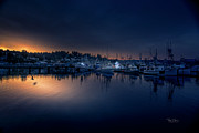 Morning Light On The Bay Photograph by Bill Posner