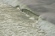Morning Line Photograph by Bill Posner