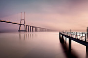 Morning low fog Photograph by Jorge Maia