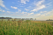 Morning on the Prairie in Glacial Park Photograph by Ray Mathis