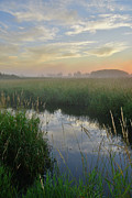 Morning Reflection in Glacial Park Photograph by Ray Mathis