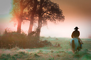 Morning solitude Photograph by Toni Hopper