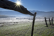 Morning Sun Photograph by Ken Barrett