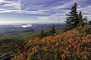Morning View Photograph by Ken Barrett