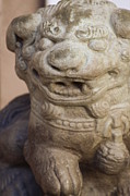 Moss Green Japanese Foo Dog Photograph by Colleen Cornelius Moss Green Japanese Foo Dog Photograph by Colleen Cornelius