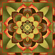 Mother Lotus Photograph by Bell And Todd