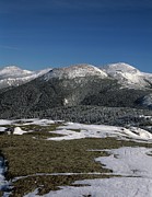 Mount Eisenhower - White Mountains New Hampshire Photograph by Erin Paul Donovan Mount Eisenhower - White Mountains New Hampshire Photograph by Erin Paul Donovan