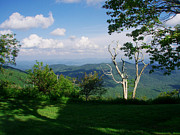 Mount Pisgah Vista Photograph by Allen Nice-Webb