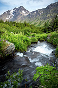 Mountain Creek in Early Summer Photograph by Tim Newton Mountain Creek in Early Summer Photograph by Tim Newton