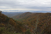 Mountain Landscape 10 Photograph by Allen Nice-Webb