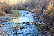 Mountain Stream Photograph by K Bradley Washburn Mountain Stream Photograph by K Bradley Washburn
