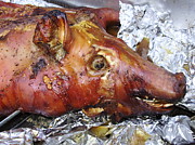 Mr. Pig Photograph by Anjel B Hartwell