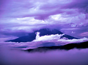 Mt Fuji Photograph by Yvonne Johnstone