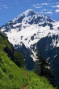 Mt Hood From Bald Mountain Photograph by Bruce Block