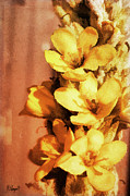 Mullein Digital Art by Rebecca Langen