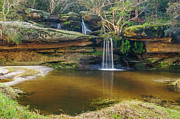 Mullet Creek Falls 2 Photograph by Werner Padarin