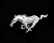 Mustang Photograph by Rona Black