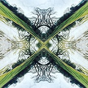 My Brain Photograph by Mark Egerton