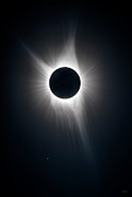 My Corona Photograph by Greg Norrell