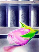 My Dilemma in Color Drawing by Donald 'C-Note' Hooker