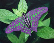 My Favorite Color is Blue Painting by Richard Barone