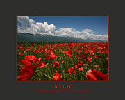 My Joy Spreads To Everyone Else Photograph by Donna Corless