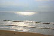 My morning run Photograph by Julie Lueders My morning run Photograph by Julie Lueders