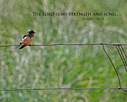 My Strength Photograph by Bonnie Bruno
