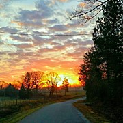 My View Of The Sunrise This Photograph by Robin Mead