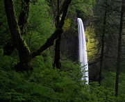 Mystical Waterfall Photograph by Larry Marshall Mystical Waterfall Photograph by Larry Marshall