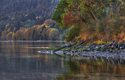 Nanoose Morning Photograph by Randy Hall