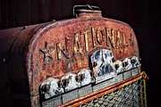 National Star Photograph by Michael Brungardt