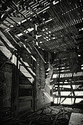 Natural Lighting Photograph by Kevin Anderson