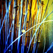 #nature #beautiful #love #pretty Photograph by Jason Roust