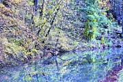 Natures Beauty Photograph by Merle Grenz