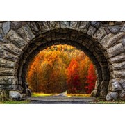 Natures Color Palette - Hudson Valley Photograph by Susan Candelario