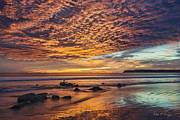 Nature's Glory Photograph by Dan McGeorge