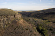 Near Yakama - Washington Photograph by DArcy Evans
