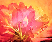 Nectar Photograph by Susan Maxwell Schmidt