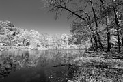 Neshaminy Creek in Black and White Photograph by Denise Harty