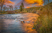 Nevada Gold  Photograph by Scott McGuire