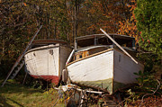 New England Yard Art Photograph by Kirkodd Photography Of New England