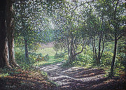 New Forest path in summer evening Painting by Martin Davey