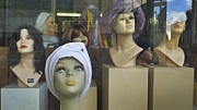 New Girl Photograph by Skip Hunt