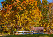 New hampshire barn under fall foliage Photograph by Jeff Folger